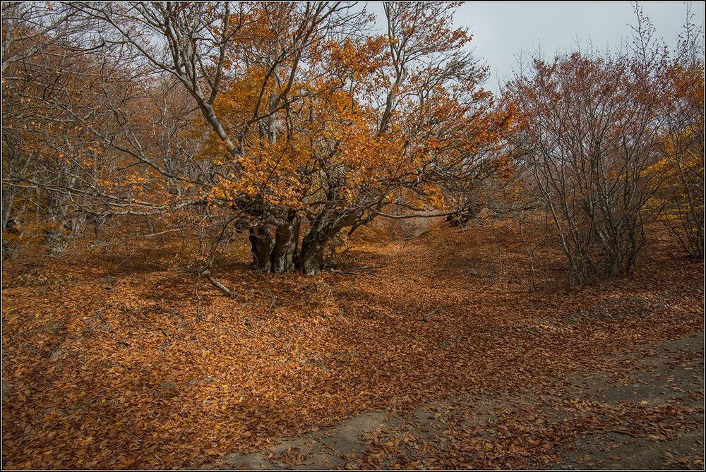 Осень в горах Крыма