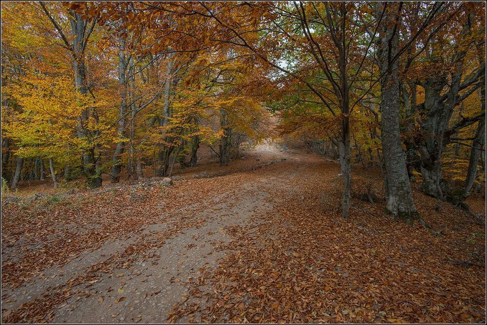 Осень в горах Крыма