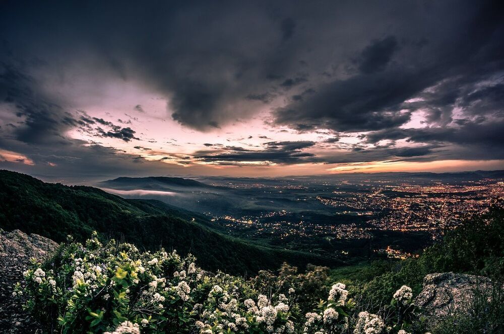 After the rain