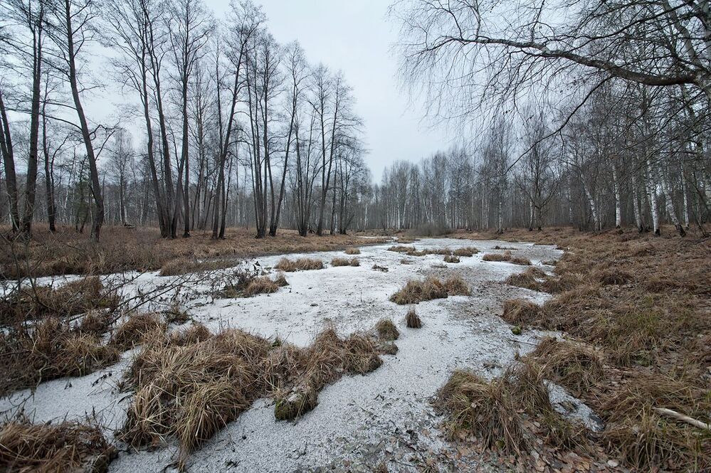 04 Ночью был сильный мороз, а под утро и небольшой снежок, в итоге старицы всего за ночь неузнаваемо изменились,...