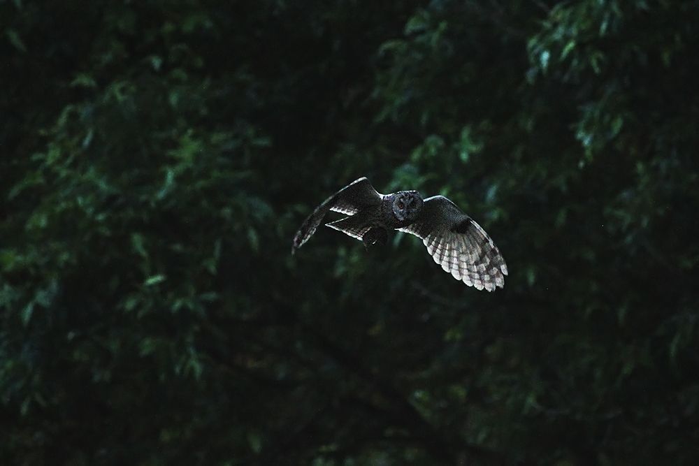 Photo 623742