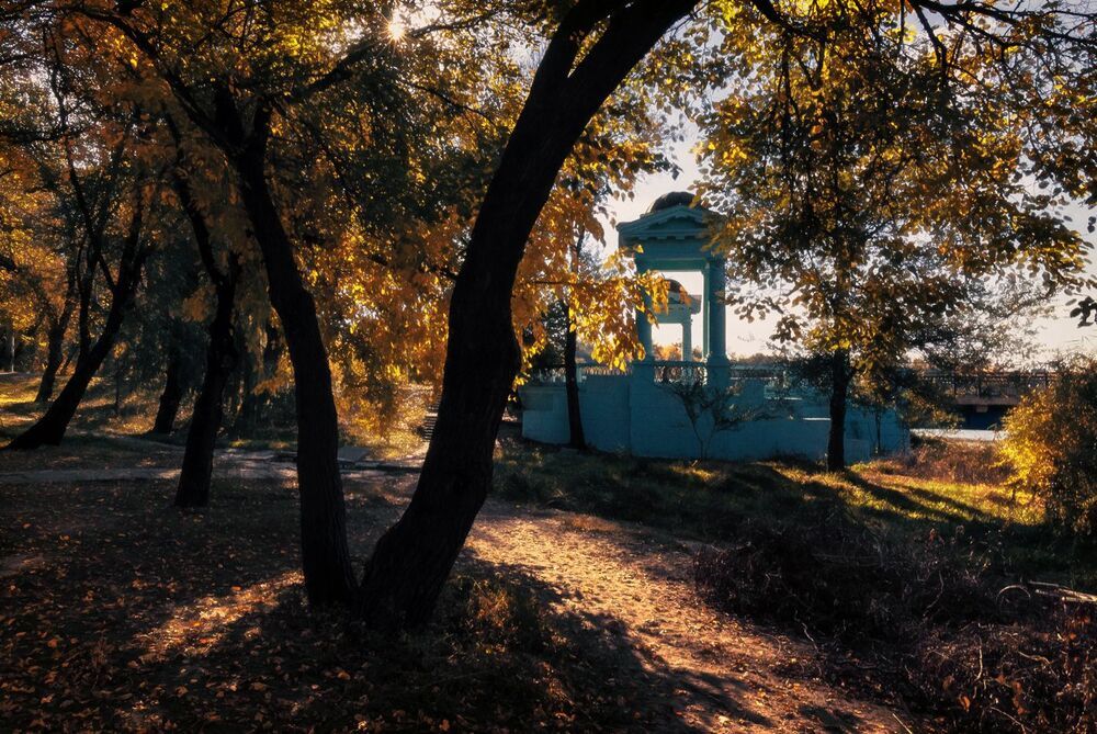 Pro осень в старом парке