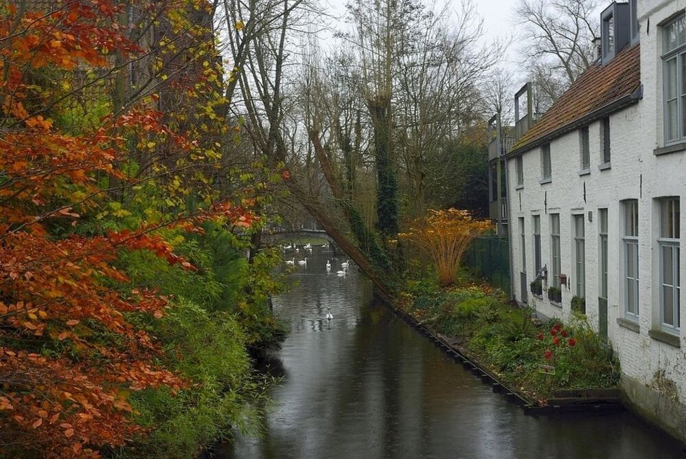 Bruges(Belgium).