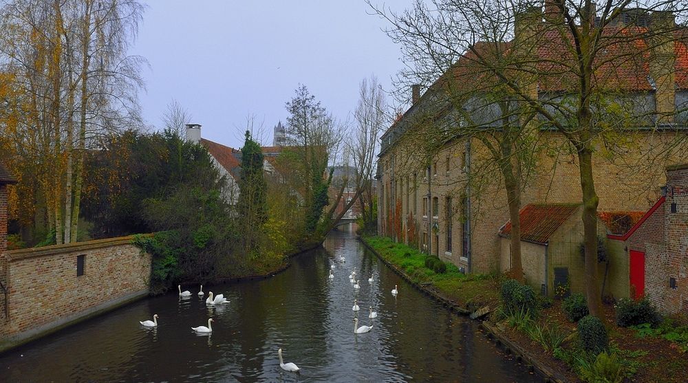 Bruges(Belgium).
