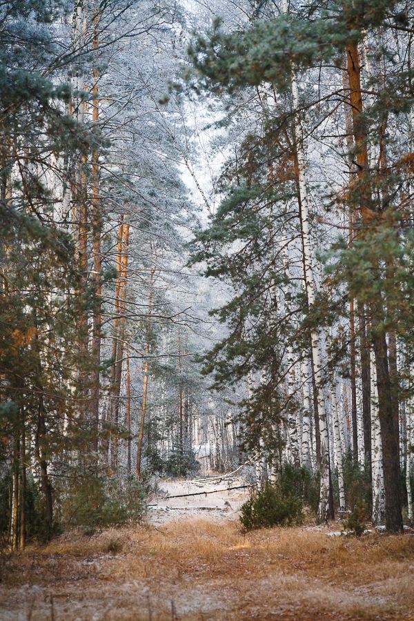 Золото на голубом