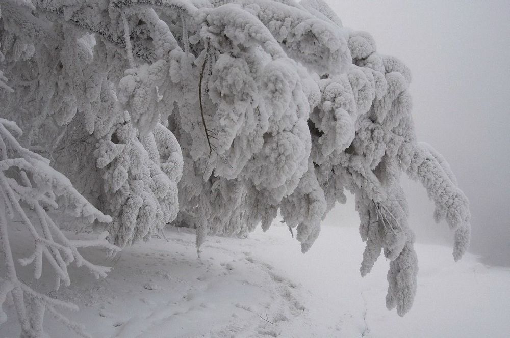 Сон зимнего берега.