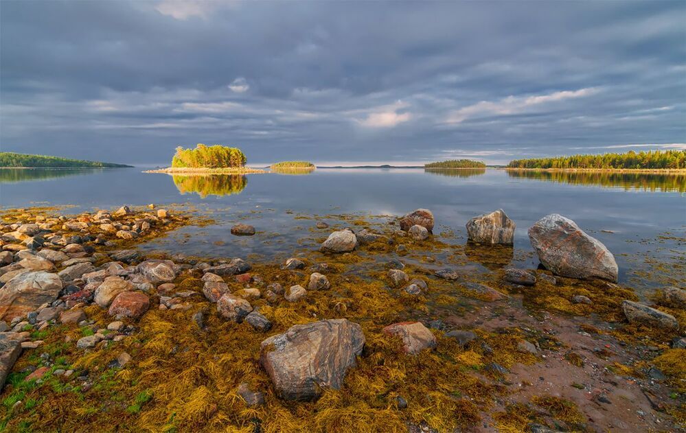 Белое море