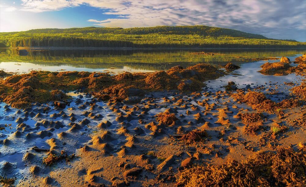 Белое море