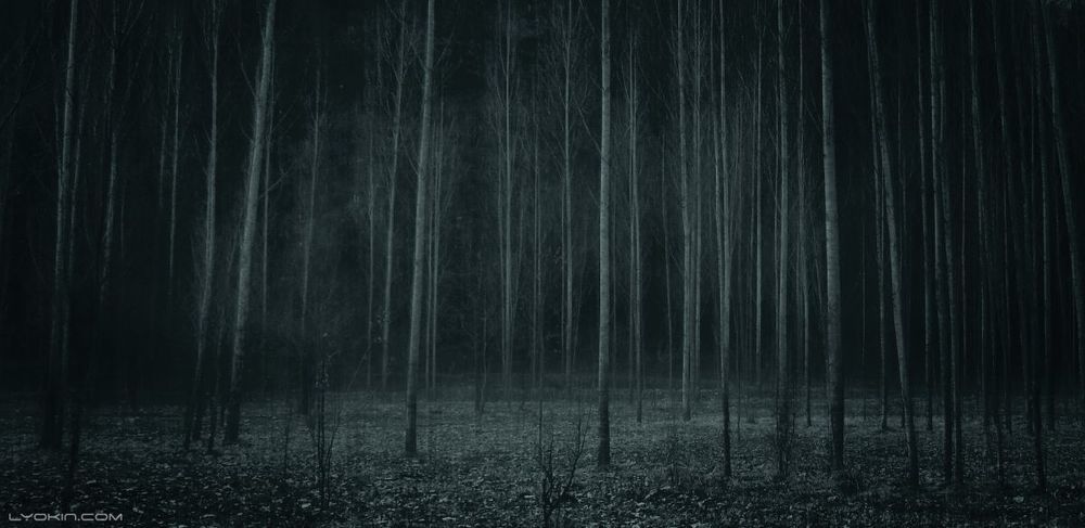 Зимний лес в Габале

Фотография сделана в начале 2012 года на мыльницу