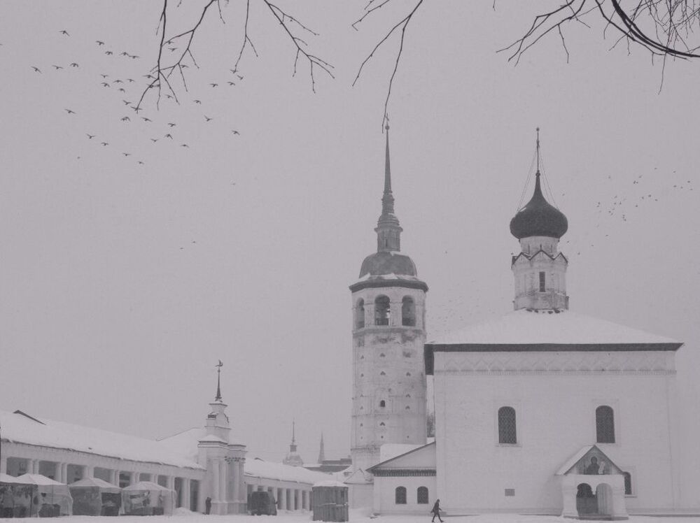 в городе N