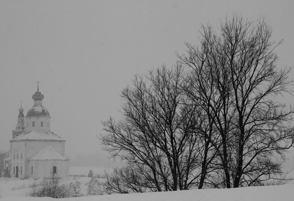 в городе N