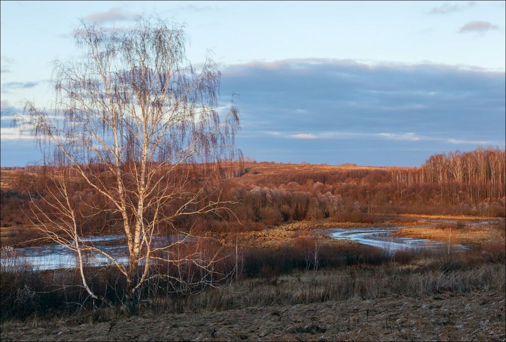 В конце дня