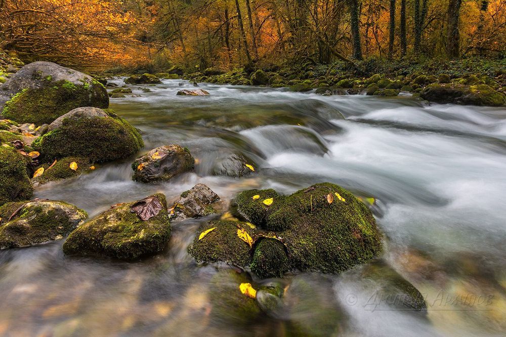 Осенняя река