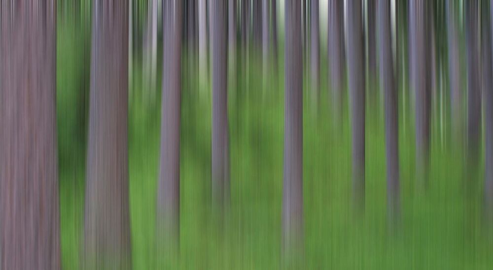 Movimento