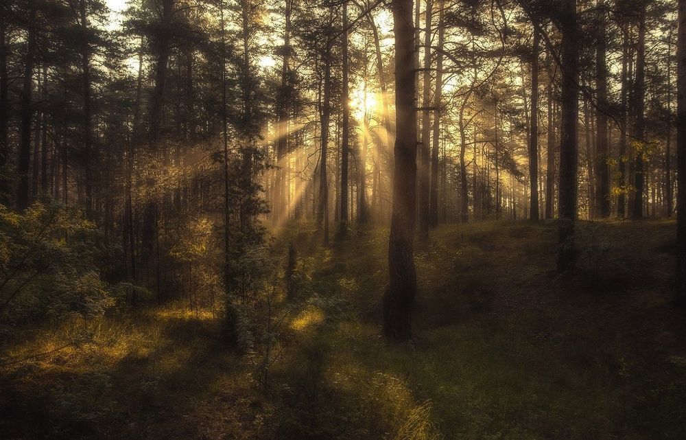 inner light