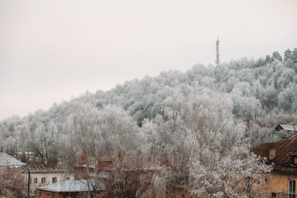 Gorohovets