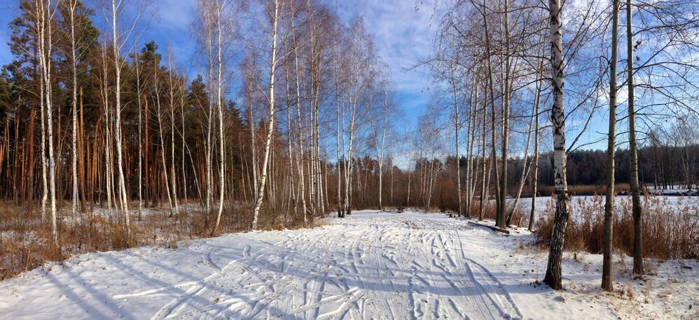 Лесная прогулка