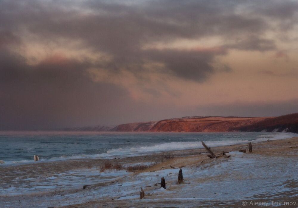 "On the Beach"  По мотивам песни Chris Rea