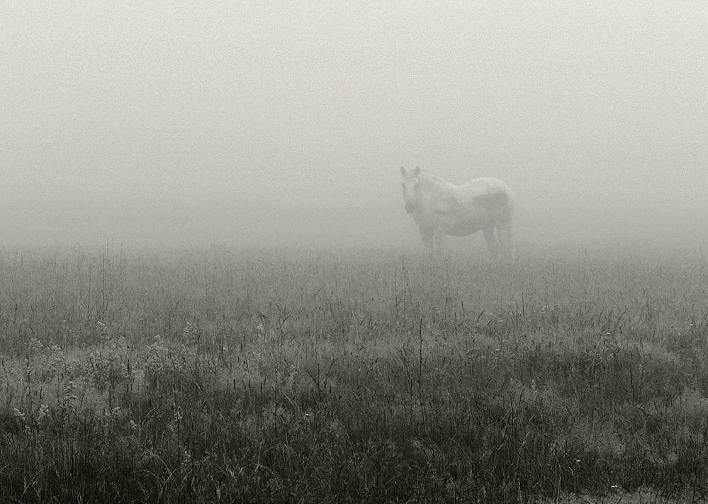 Photo 629062