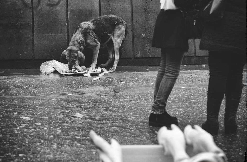 Photo 629158