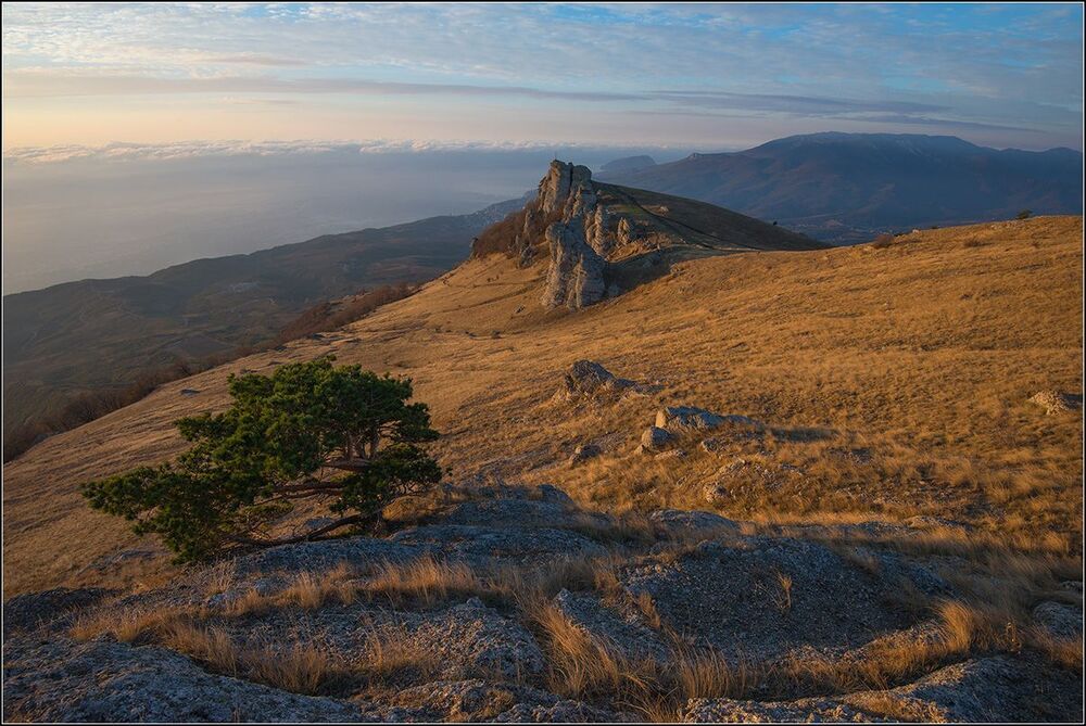 В лучах южного солнца
