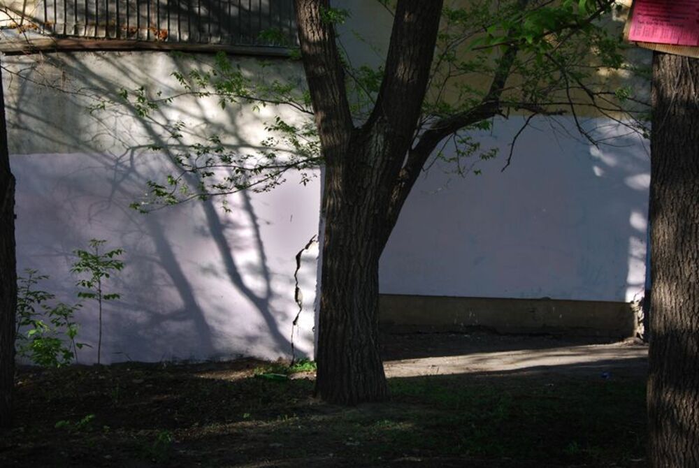 Photo 63452