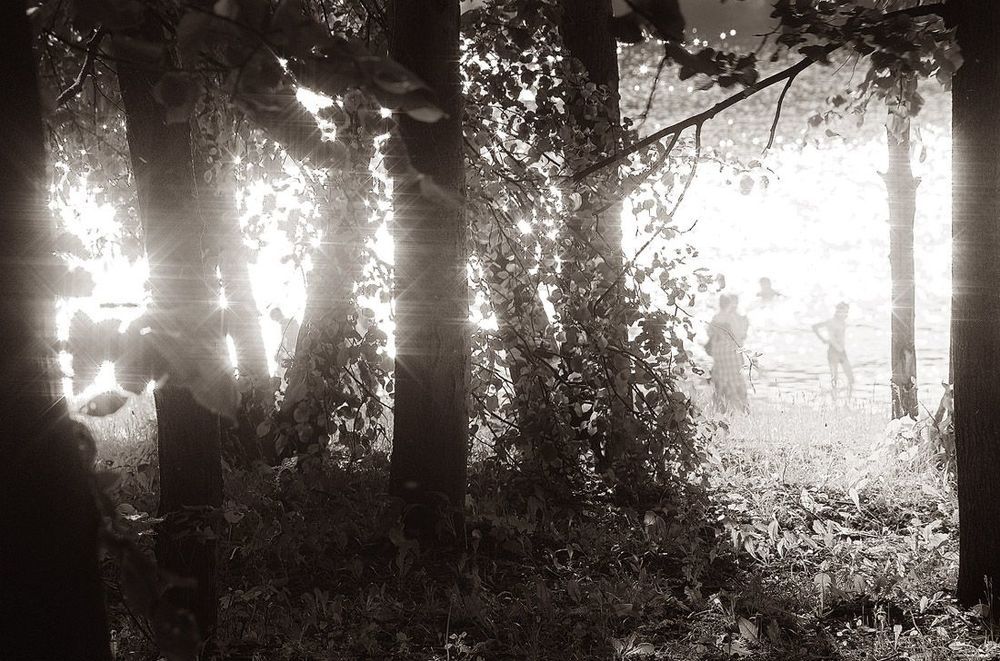 Photo 63604