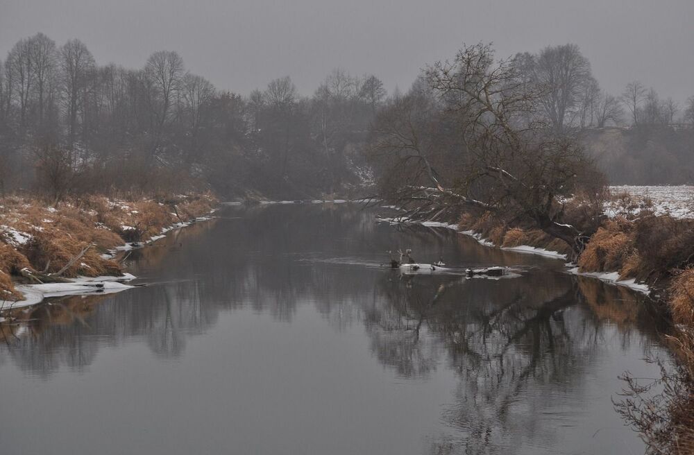 Photo 631572