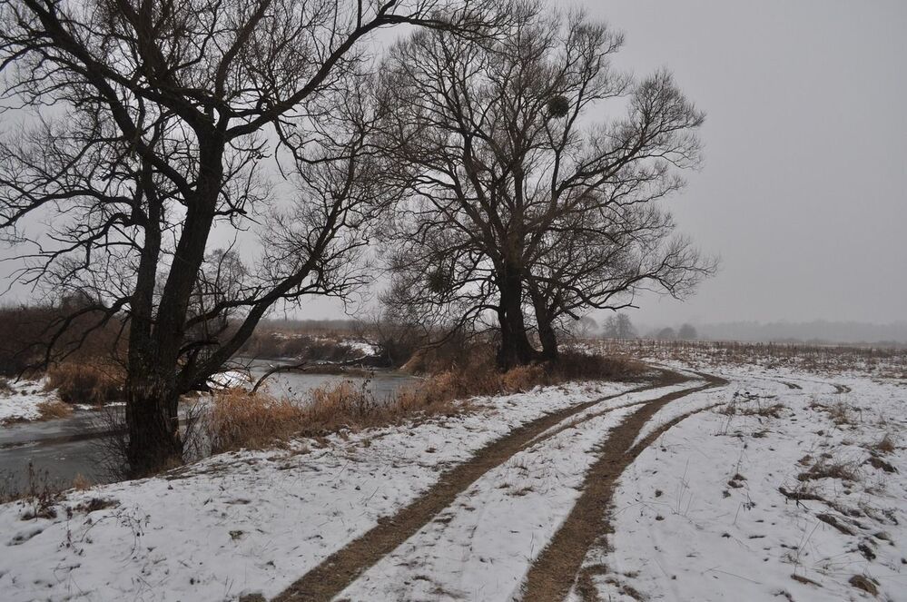 Photo 631575