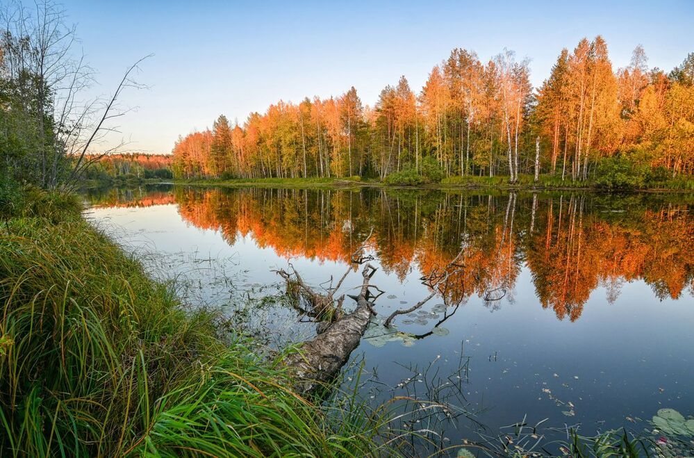 "Цвет осени"