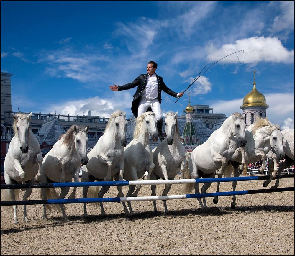 Лоренцо - летающий всадник