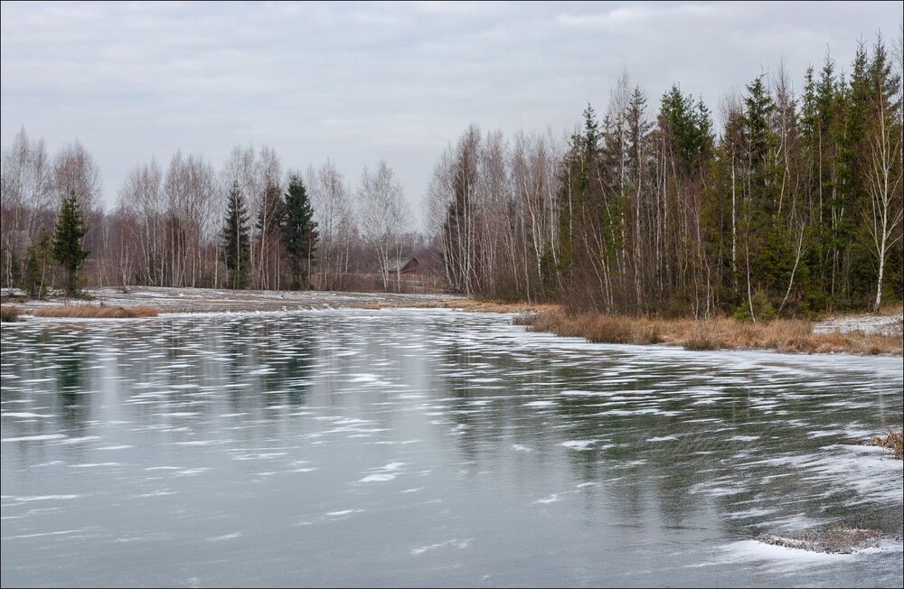 Серый декабрь