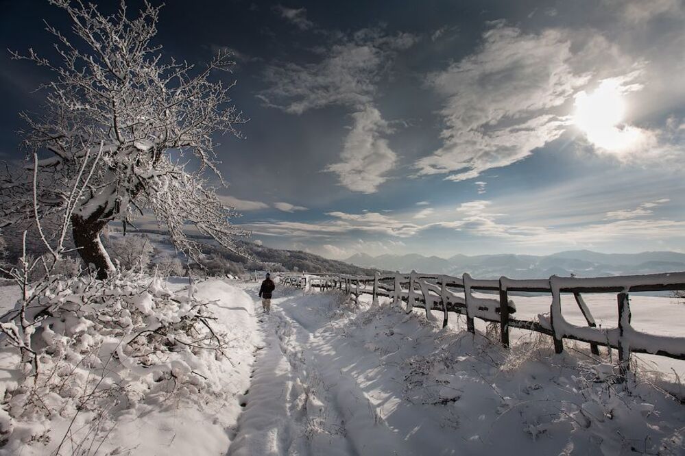 winter sunny day