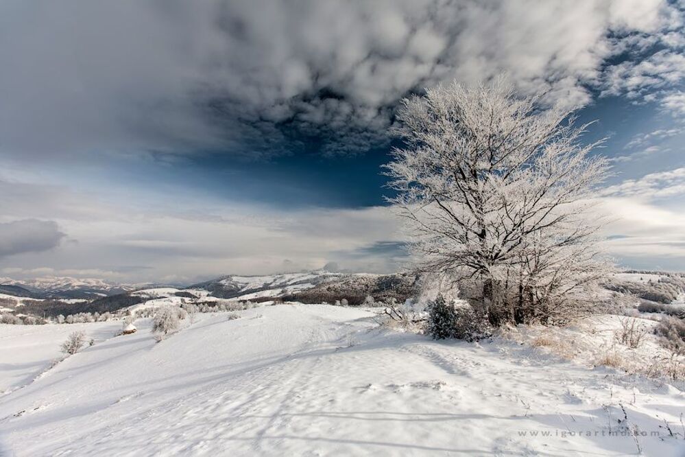 winter sunny day