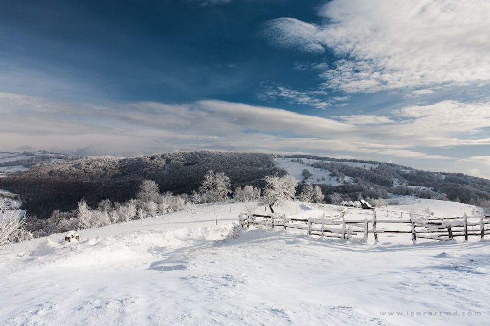winter sunny day