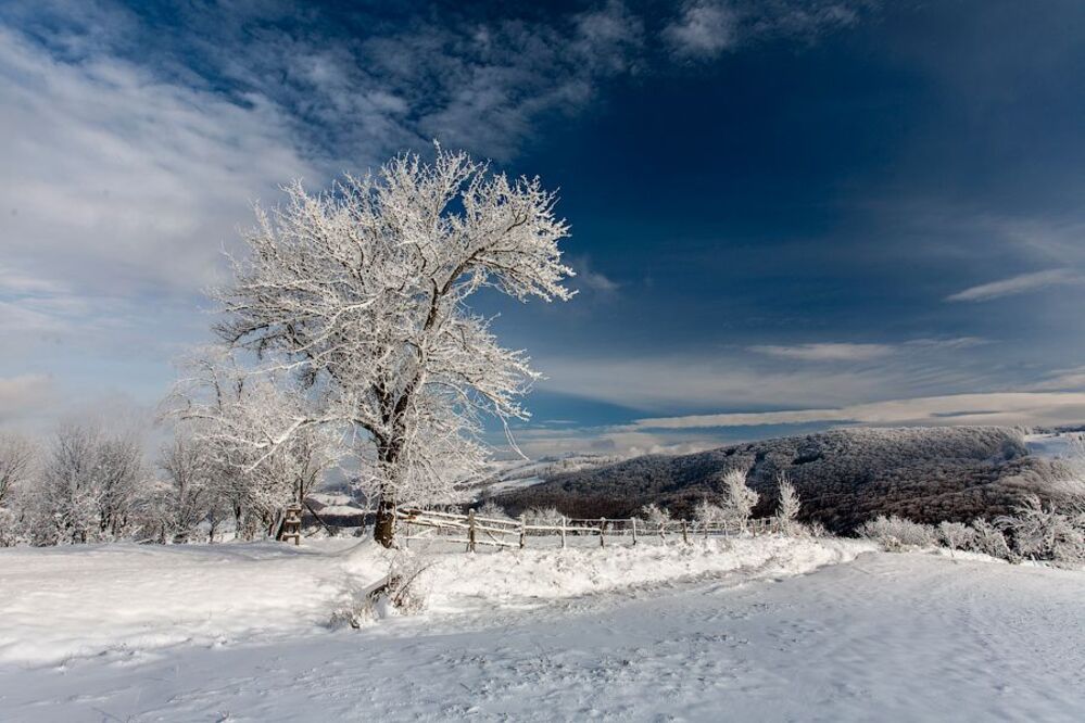 winter sunny day