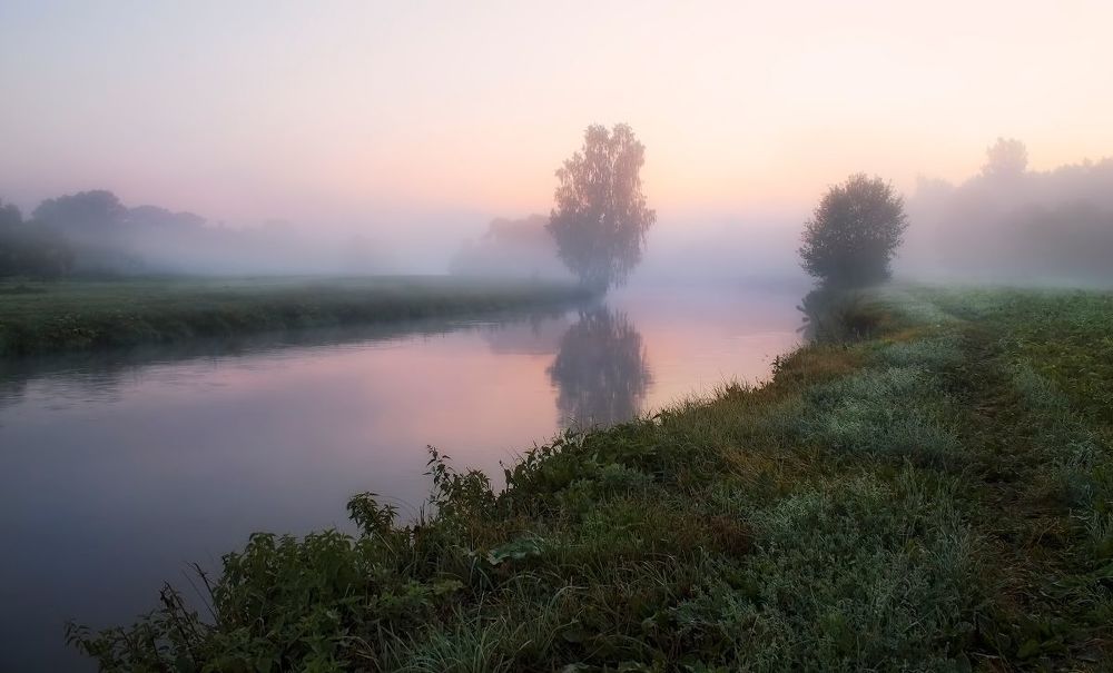 Утренняя