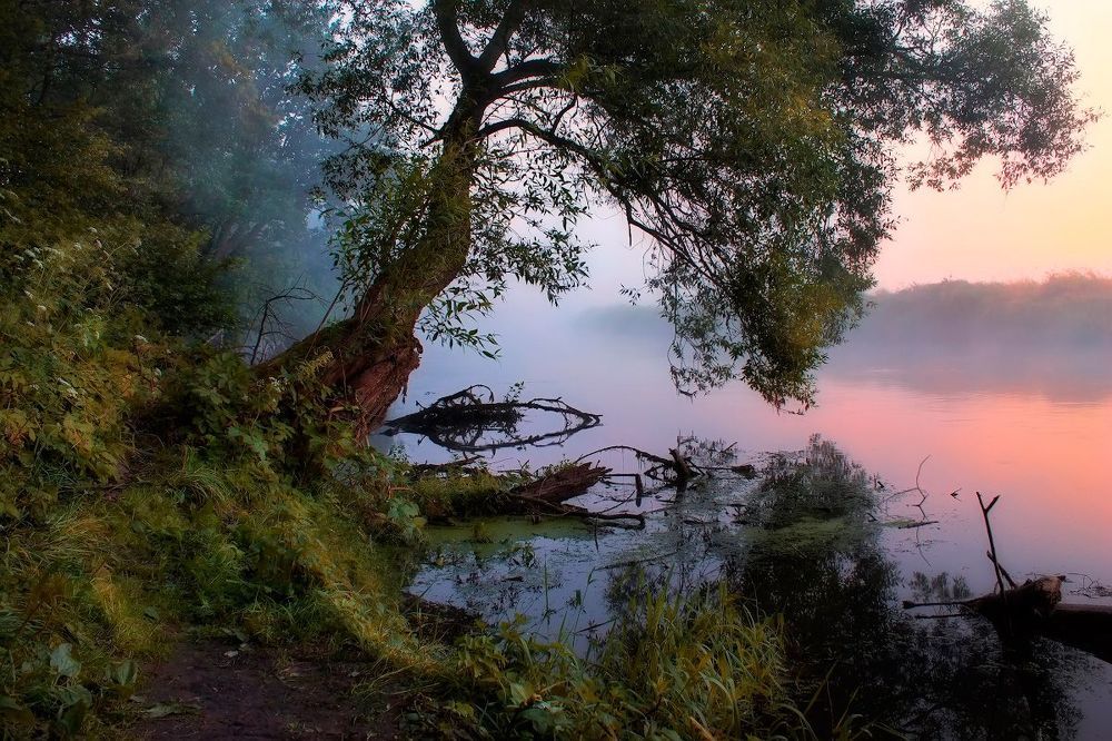 Утренняя