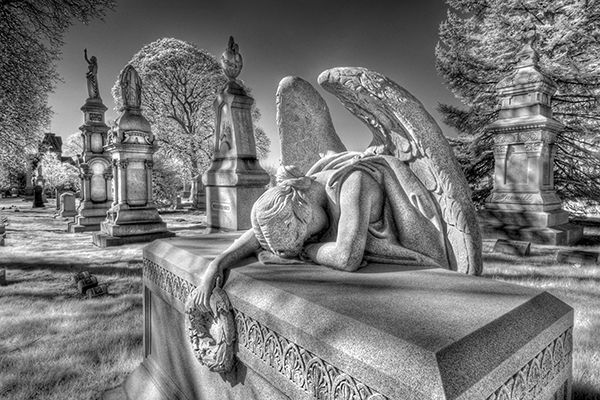 Weeping Angel