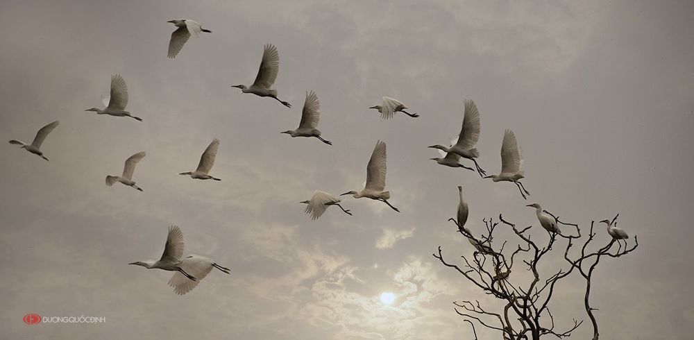NATURE