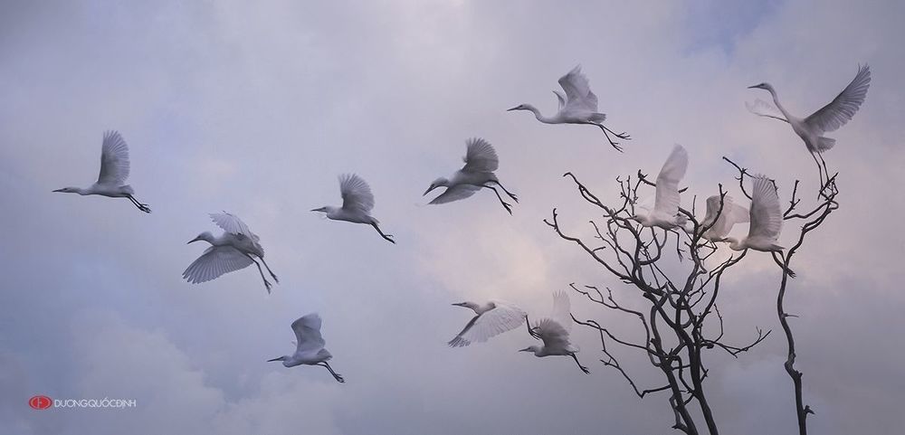 NATURE