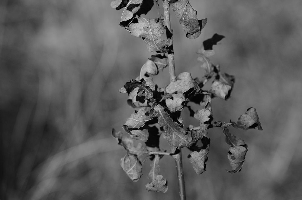 Photo 637601
