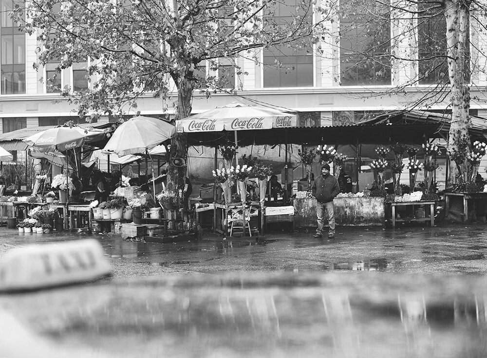 Photo 637653