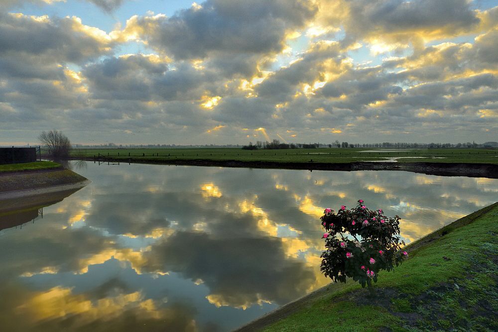 A morning in Fintele.