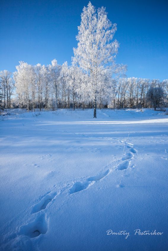 В декабре 2014-го.