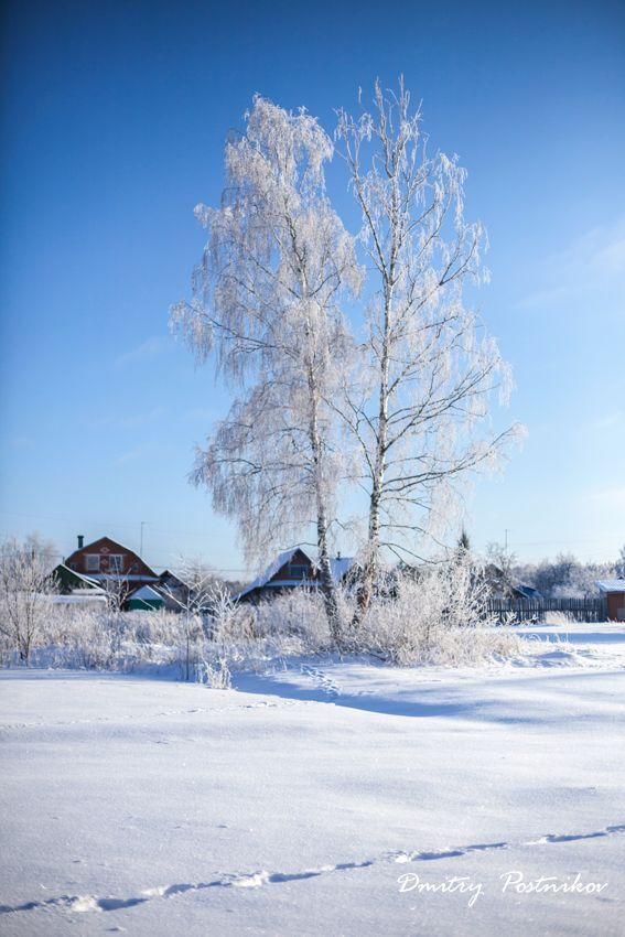 В декабре 2014-го.