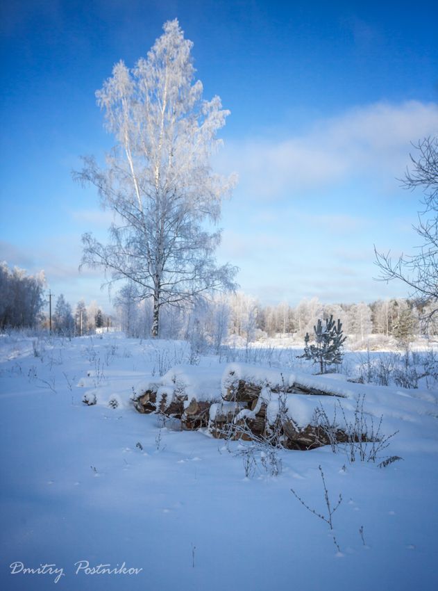 В декабре 2014-го.