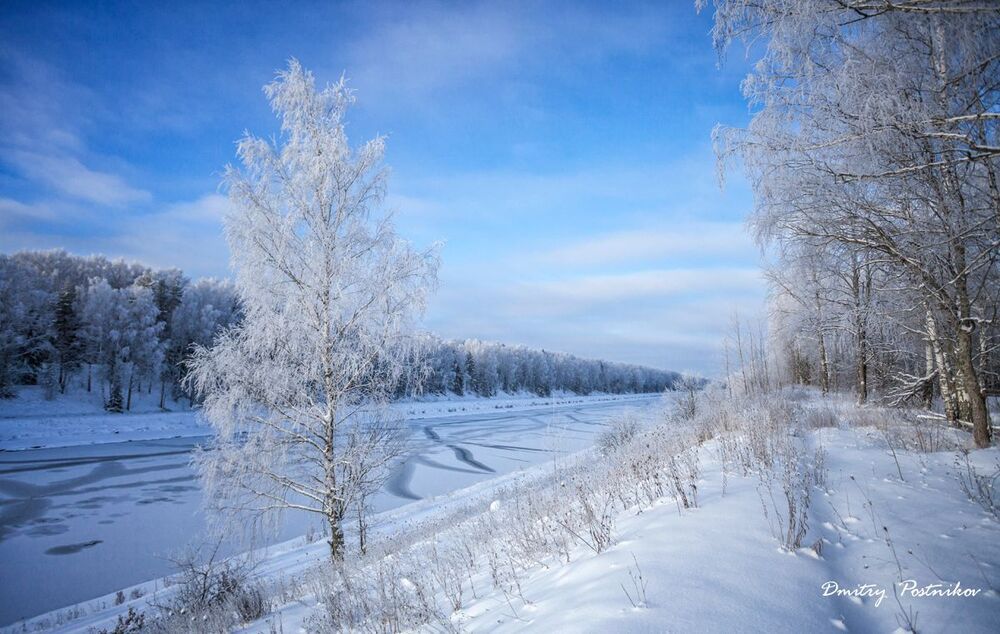 В декабре 2014-го.