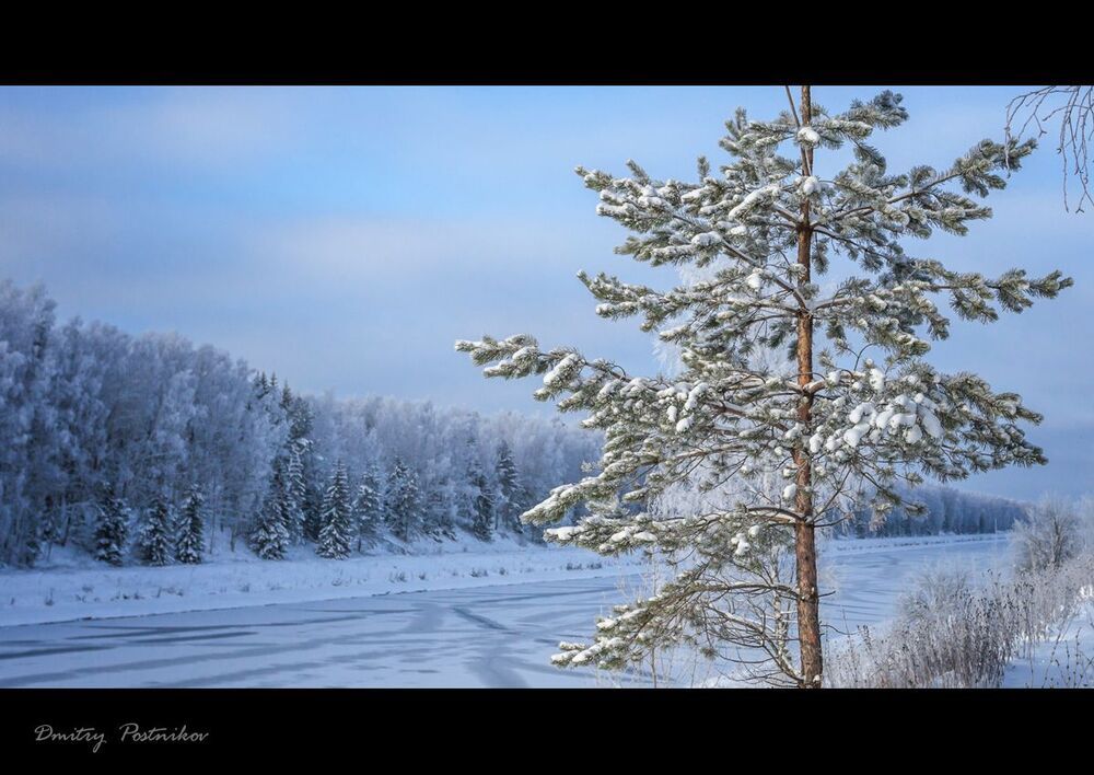 В декабре 2014-го.