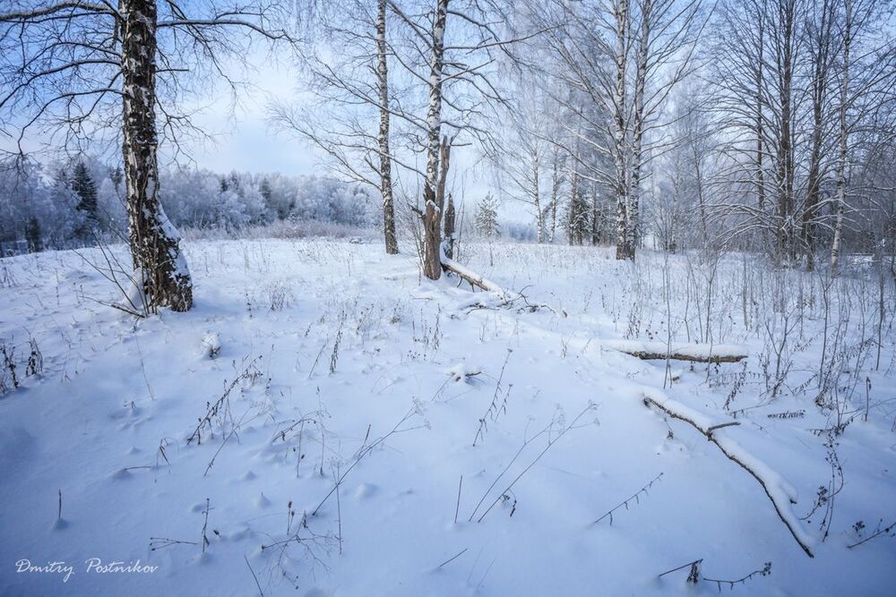 В декабре 2014-го.